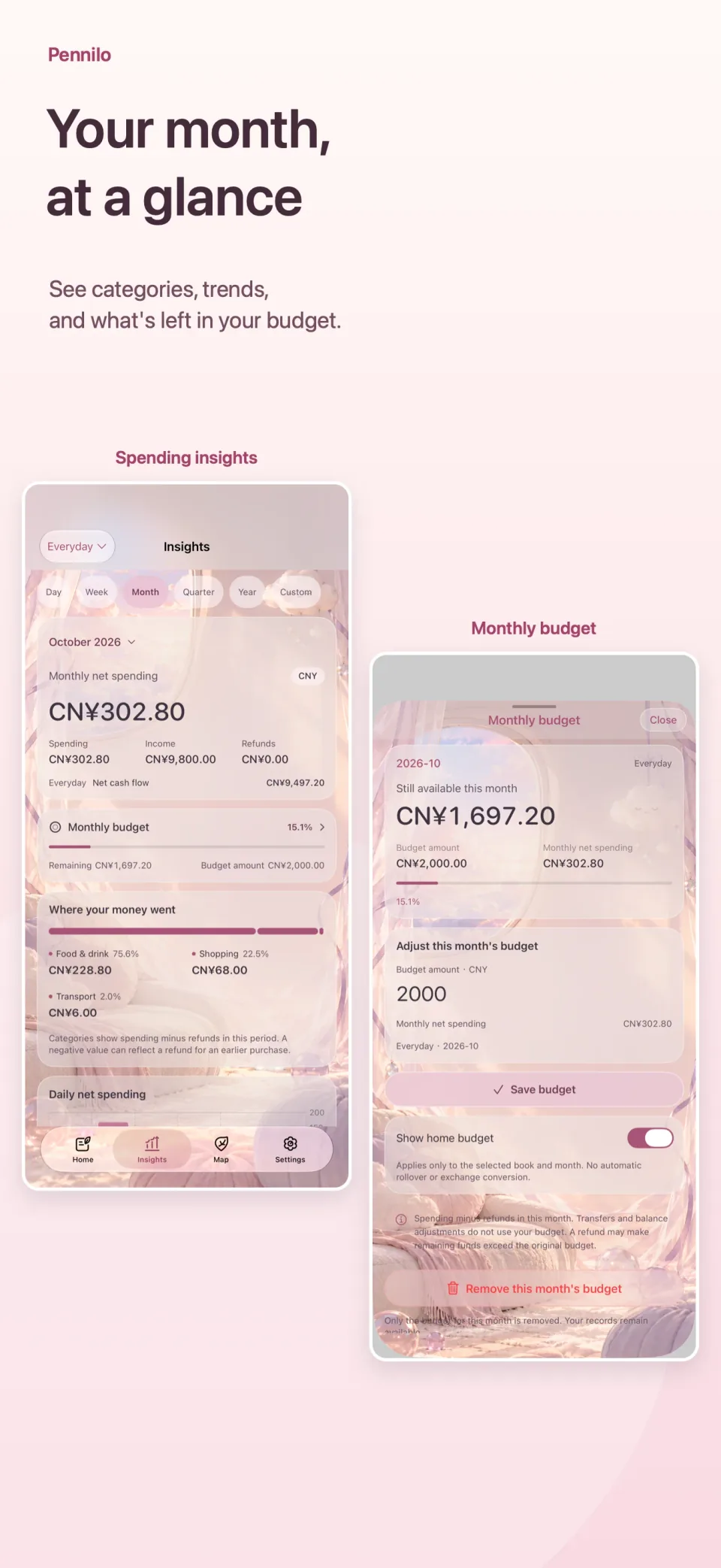 Pennilo insights and budget artwork.